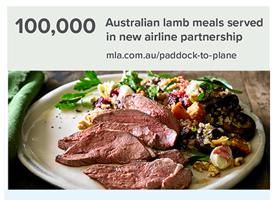 paddock to plane lamb campaign