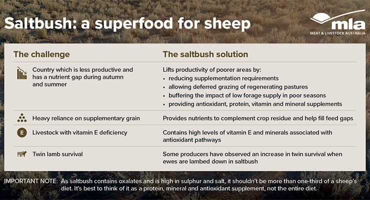 Saltbush inforgraphic - 740x400.jpg