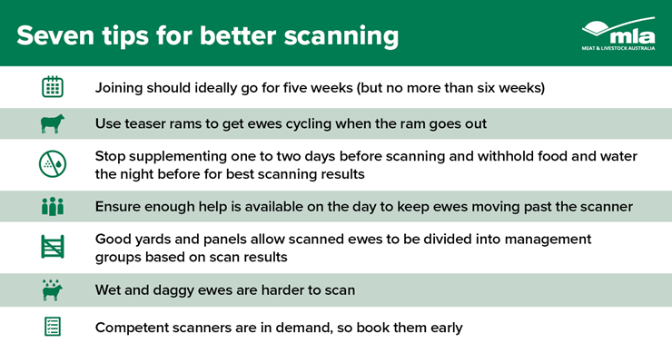 Scanning infographic.png