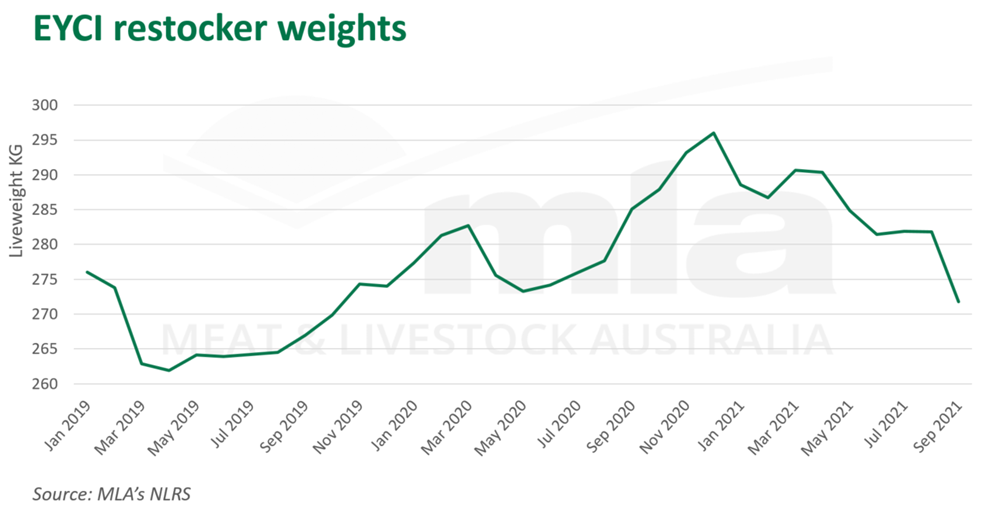 EYCI restocker weights.png