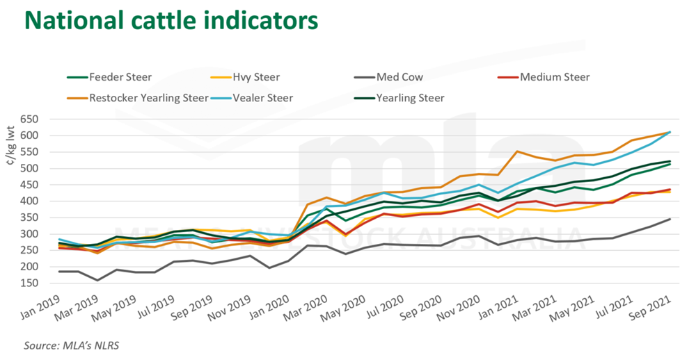 national cattle indicators.png