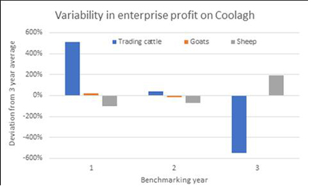 Variability 452x270.jpg