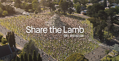 Lamb campaign 2.jpg