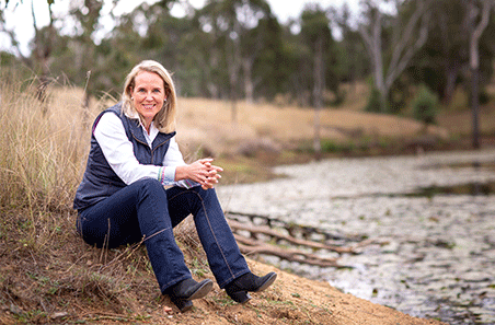 Grain fed beef industry launches grassroots campaign