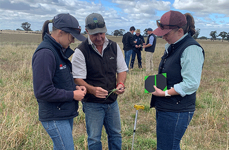 Optimising Ewe Lamb Joining Outcomes Producer Demonstration Site Final Field Day