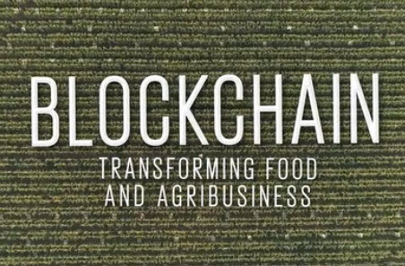 Product labelling using blockchain technology on show at Beef Australia 2021
