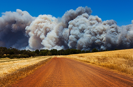 Support for bushfire-affected producers