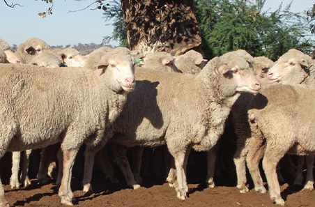 New evidence-based guidelines