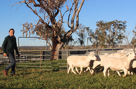 Building seasonal and financial resilience