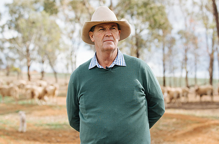 Containment feeding system and management strategies