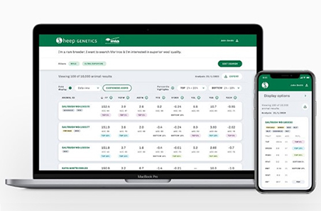 Sheep genetics search database