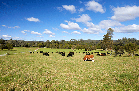 Agriculture part of the solution, not the problem