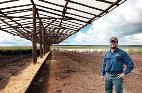Never say never: a feedlot in the tropics