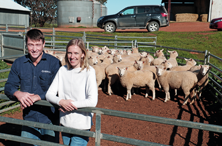 Producing more lamb per hectare