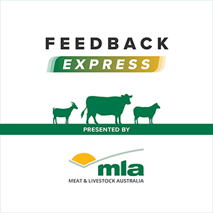 20MLA Feedback Express_300sq.jpg