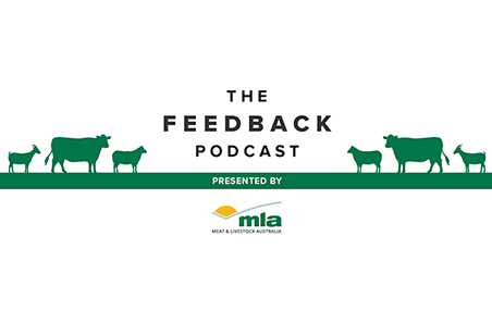Feedback podcast