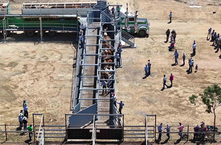 Loading ramp built from a lifetime of knowledge
