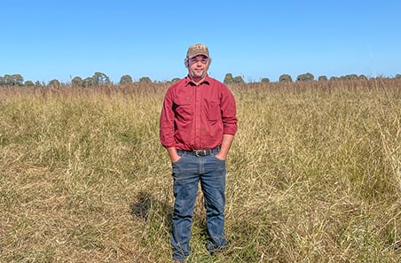 Fertilising pastures boosts production