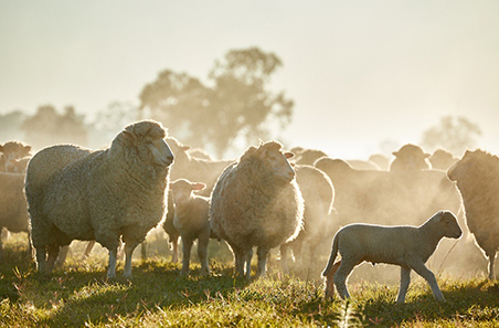 The State of Industry Report 2020