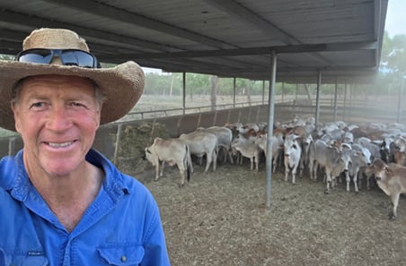 Training them young: Weaner education pays off