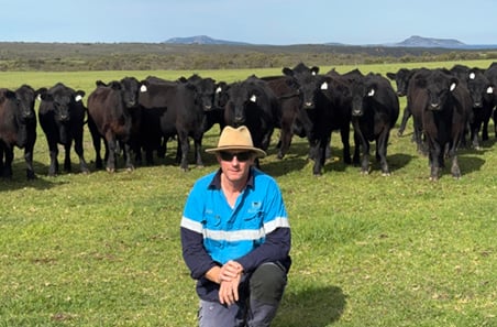 Bull breakdown could be costing your herd performance