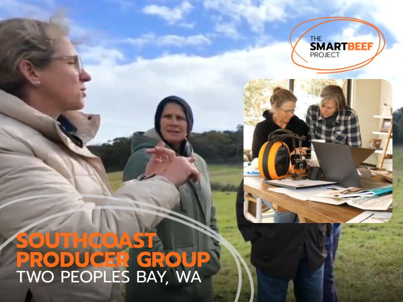 The SmartBeef Project - Jolene Daniel