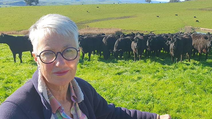 Linda Nankervis, with some of the family's  self-replacing Angus herd on their farm near Corryong.