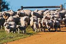 February 2024 survey results