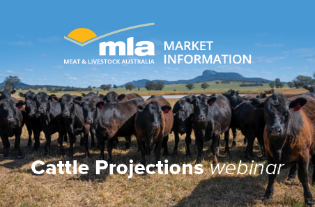 March 2024 Cattle Industry Projections Webinar