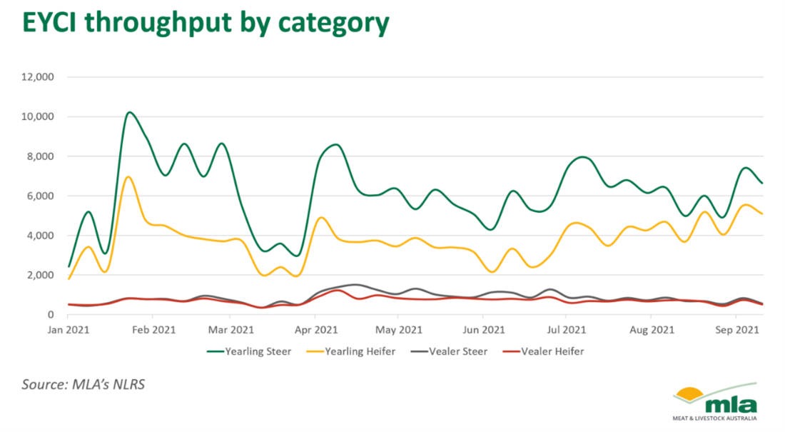 eyci-throughput.png