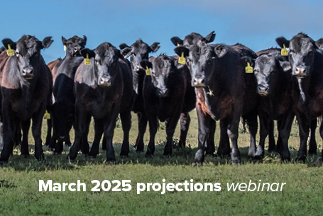 March 2025 Cattle Industry Projections Webinar