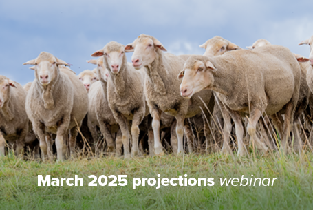 March 2025 Sheep Industry Projections Webinar
