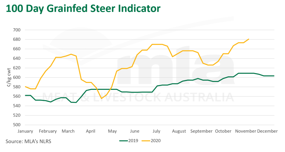 100-day-grainfed-steer-ind-121120-11.png