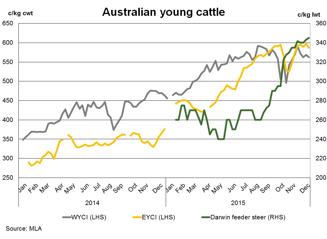 Cattle Line Chart