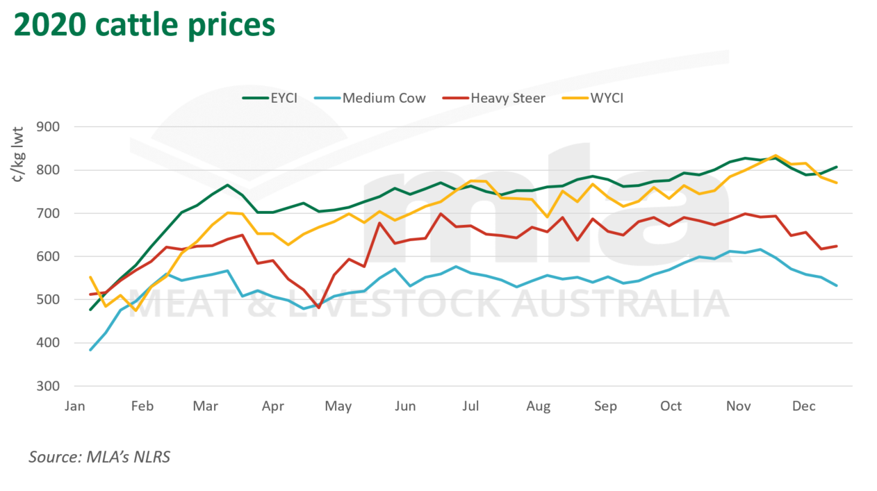 Australian cattle resilient throughout 2020 | Mirage News