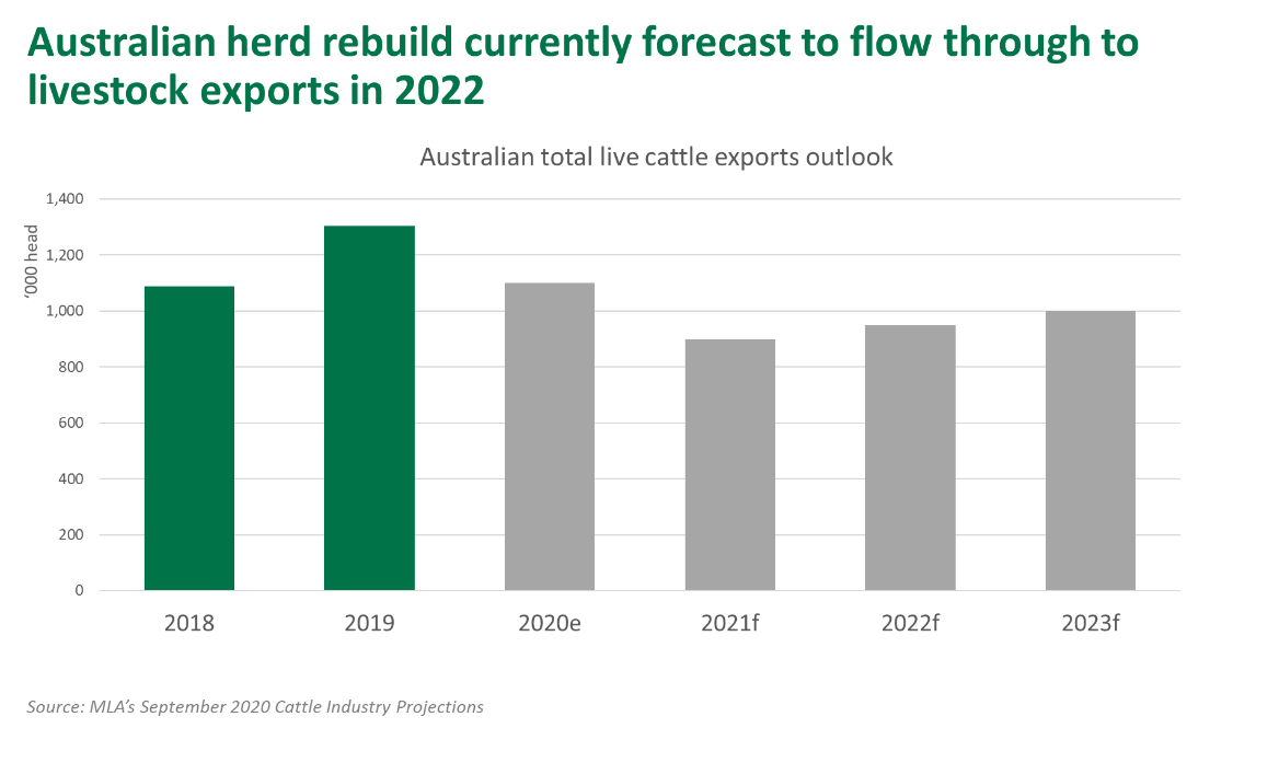 Aust-herd-rebuild-101220.png