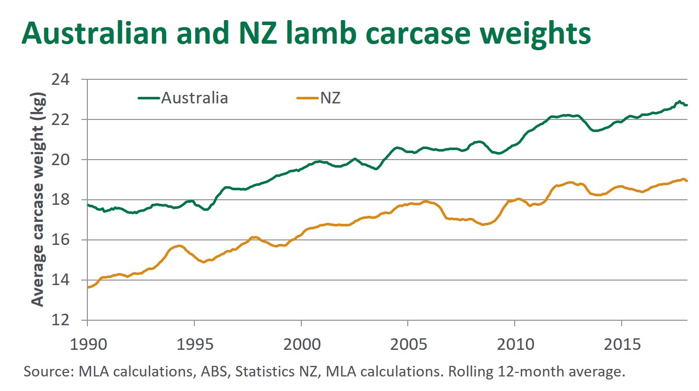 Aust and NZ lamb carcase weights