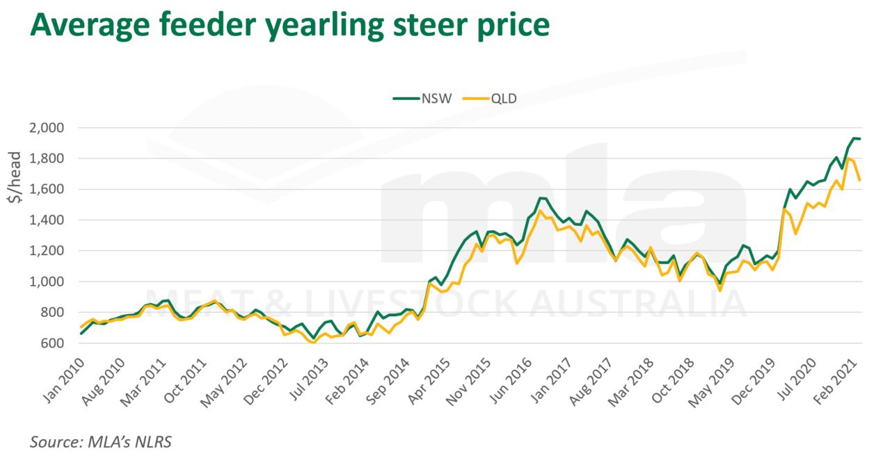 Ave-feeder-yearling-steer-price-180321.png