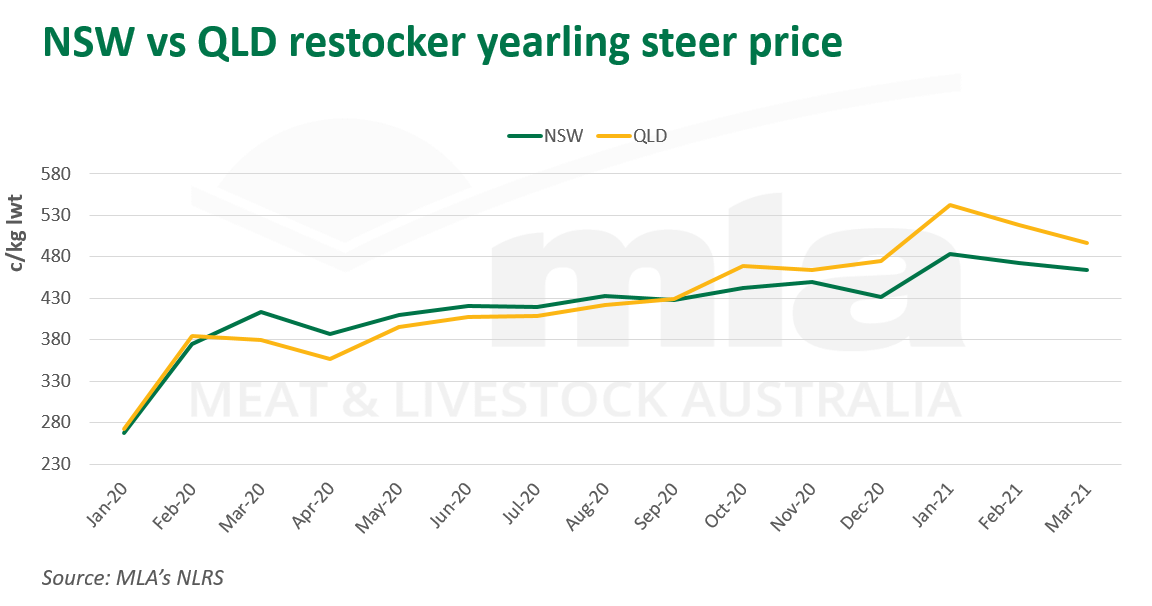 cwt-NSW-vs-QLD-restocker-yearling-steer-price-110321.png