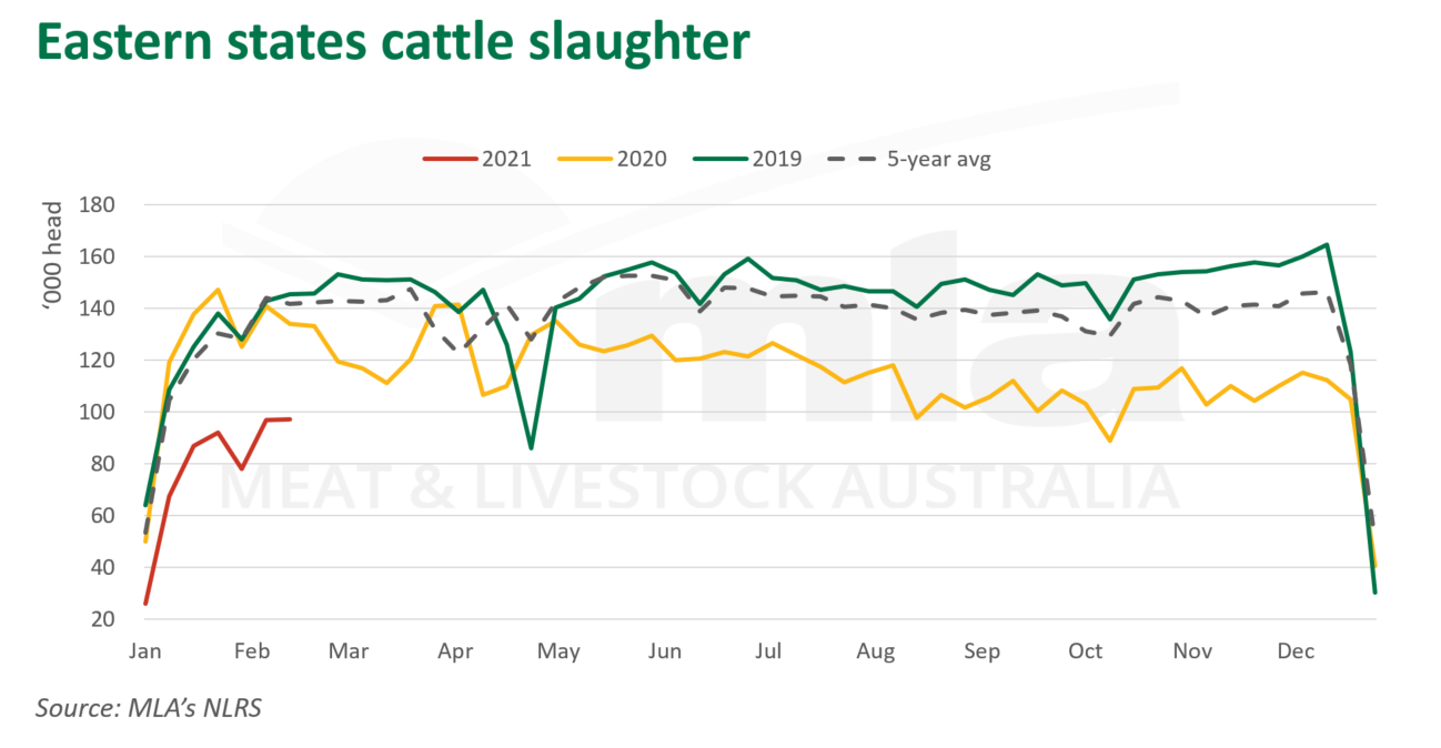 East-cattle-slaughter-180221.png