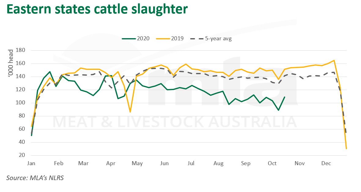 East-cattle-slaughter-221020.png