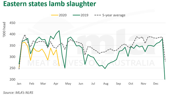East-lamb-slaughter-160420.jpg