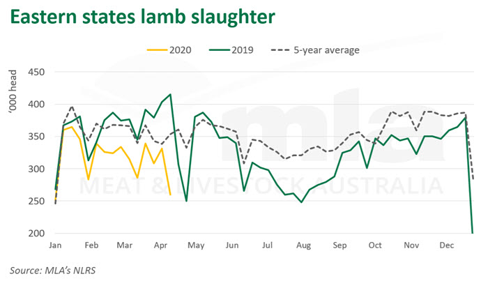 East-lamb-slaughter-230420.jpg