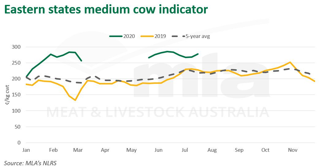 East-med-cow-ind-060820.png