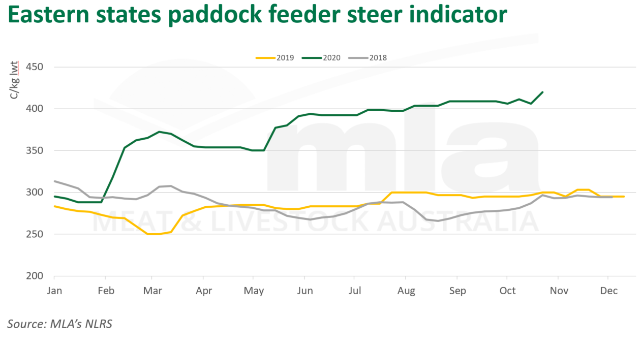 East-paddock-feeder-steer-ind-051120.png
