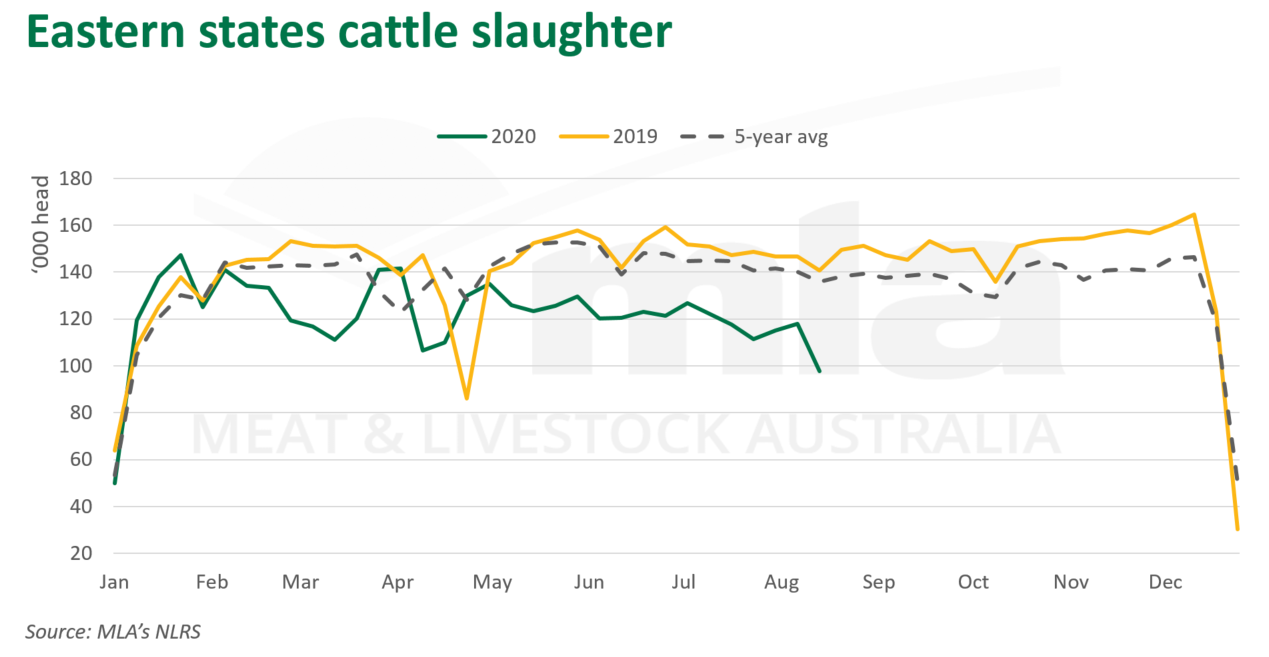 East-states-cattle-slaughter-200820.png