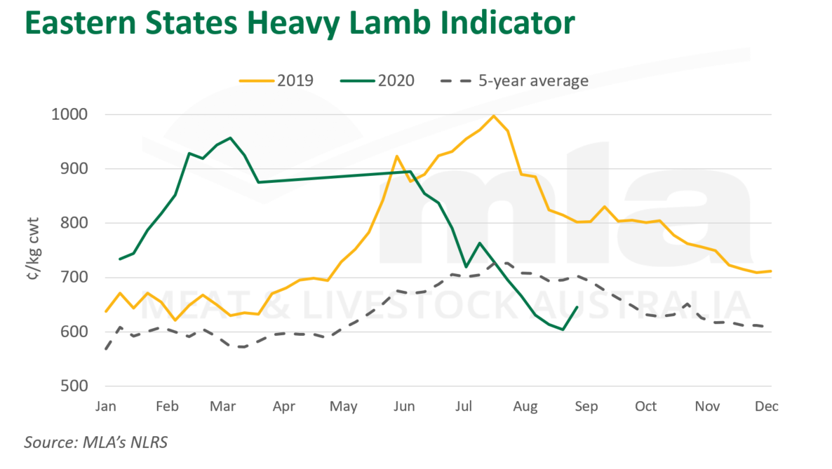 East-states-heavy-lamb-ind-030920.png
