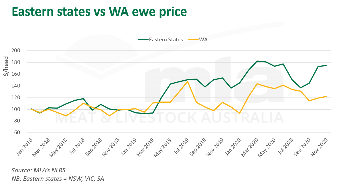 East-states-WA-ewe-price-121120-11.png