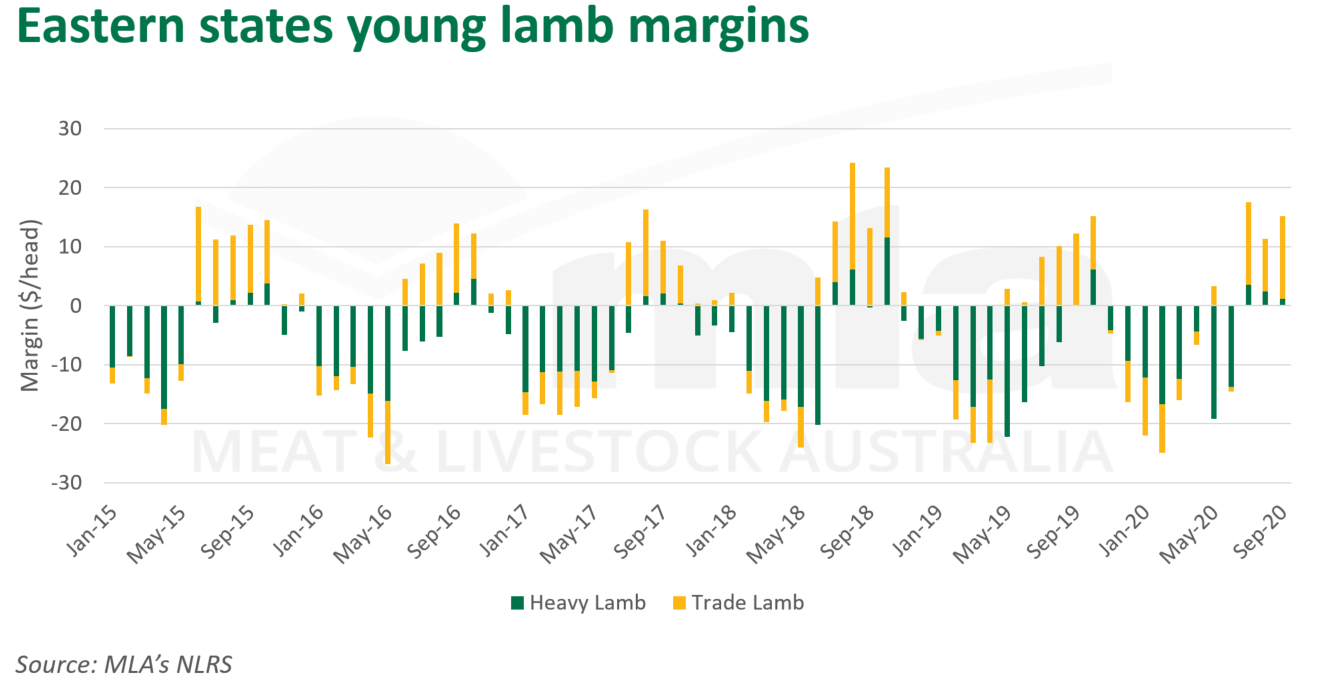 East-states-young-lamb-170920.png