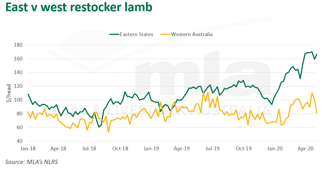 East-vs-west-lamb-280520.png